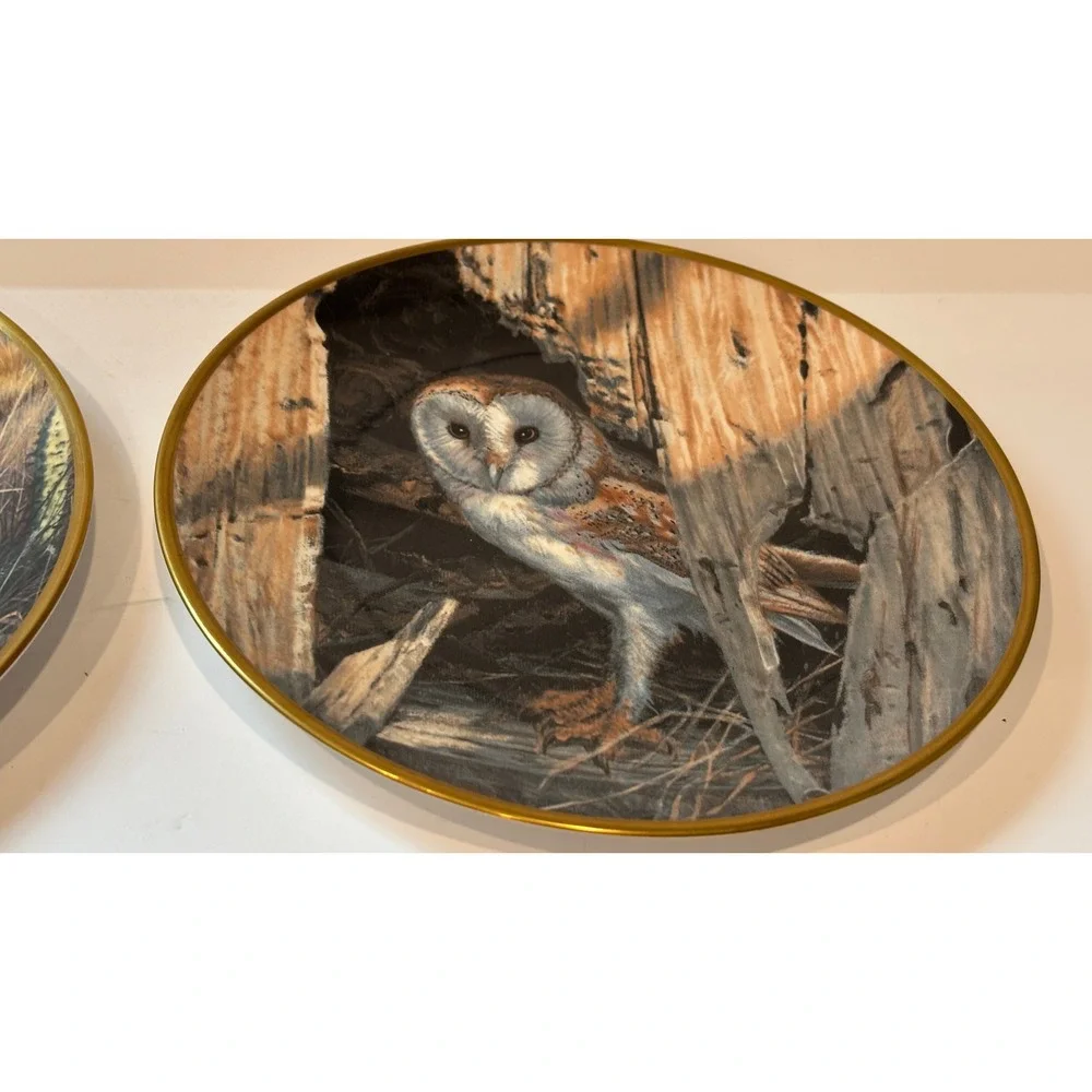 Spode Noble Owls of America Plates Set of 2 John Seerey-Lester Barn Burrowing
